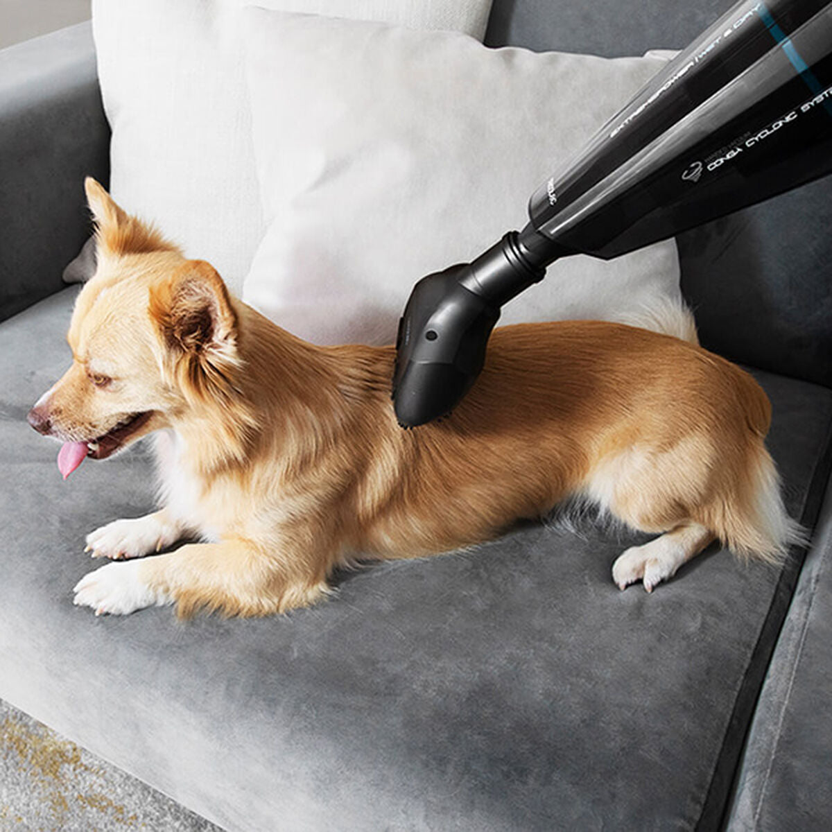 Cecotec Cyclonic Hand-Held Vacuum Cleaner Cecotec Conga Immortal Extremesuction Animal Hand 0,5 L 22,2 V Black